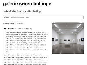 galerie søren bollinger